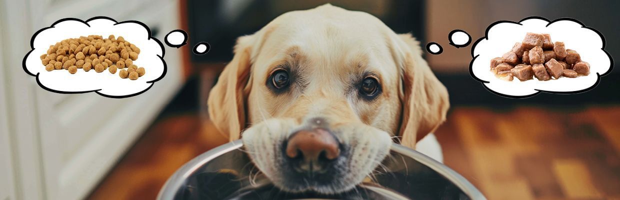Trockenfutter vs. Nassfutter Hund