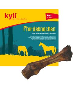 kyli Pferdeknochen