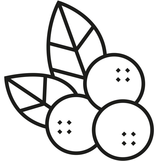 Preiselbeeren und Blaubeeren