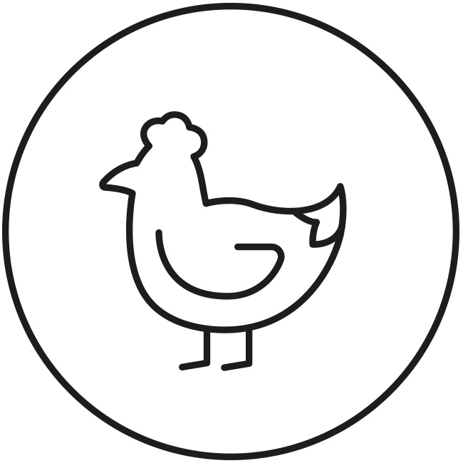 Frisches Geflügel