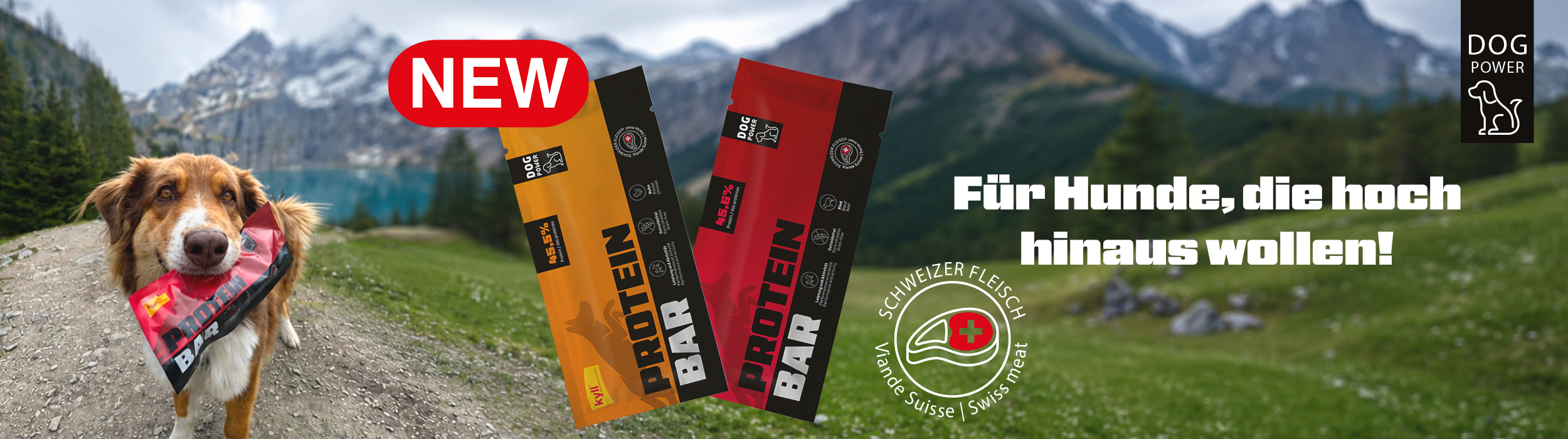 0526_Protein Bar_International