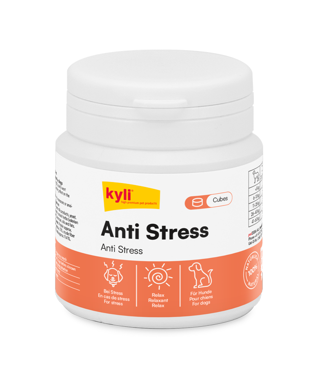 kyli Anti Stress Cubes