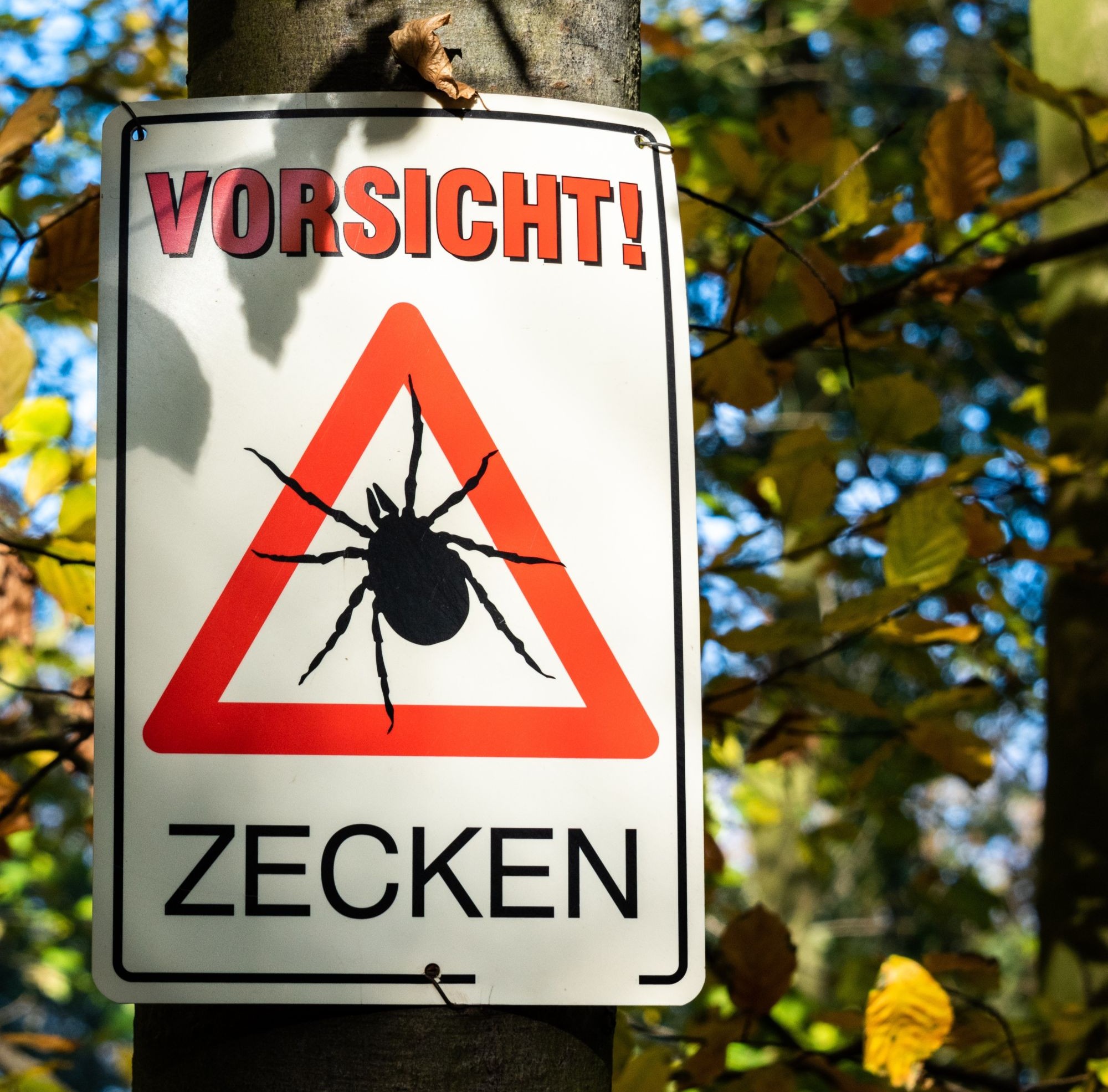 Achtung Zecken Zeckengebiet