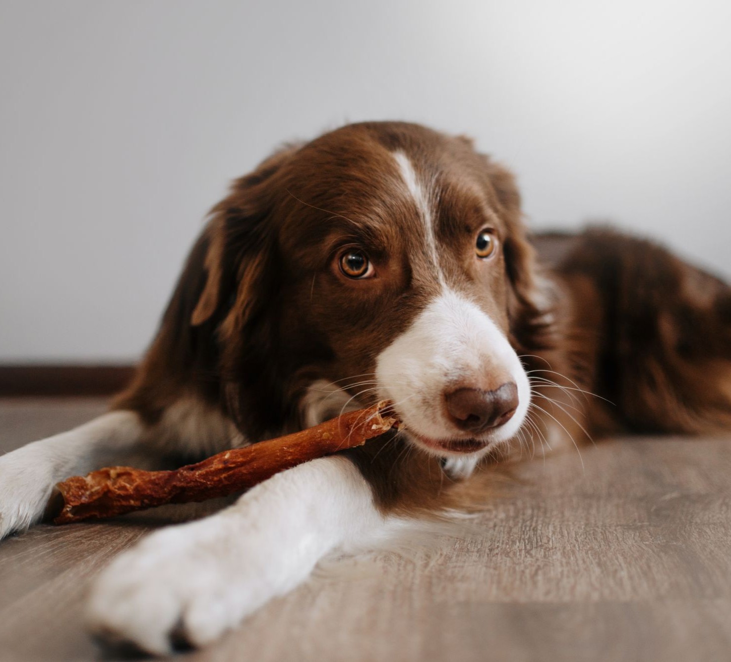 Bewegung und Besch&auml;ftigung im Winter