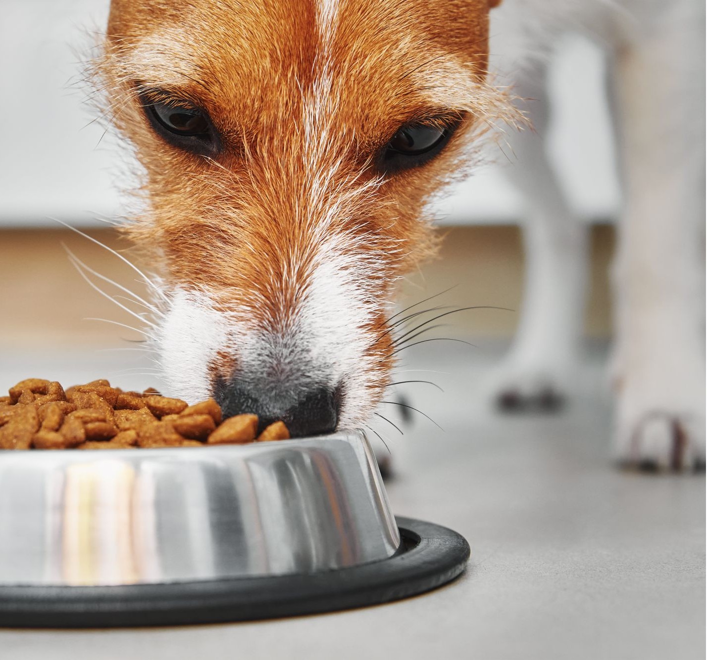 Diagnose: Wie finde ich den Ausl&ouml;ser?