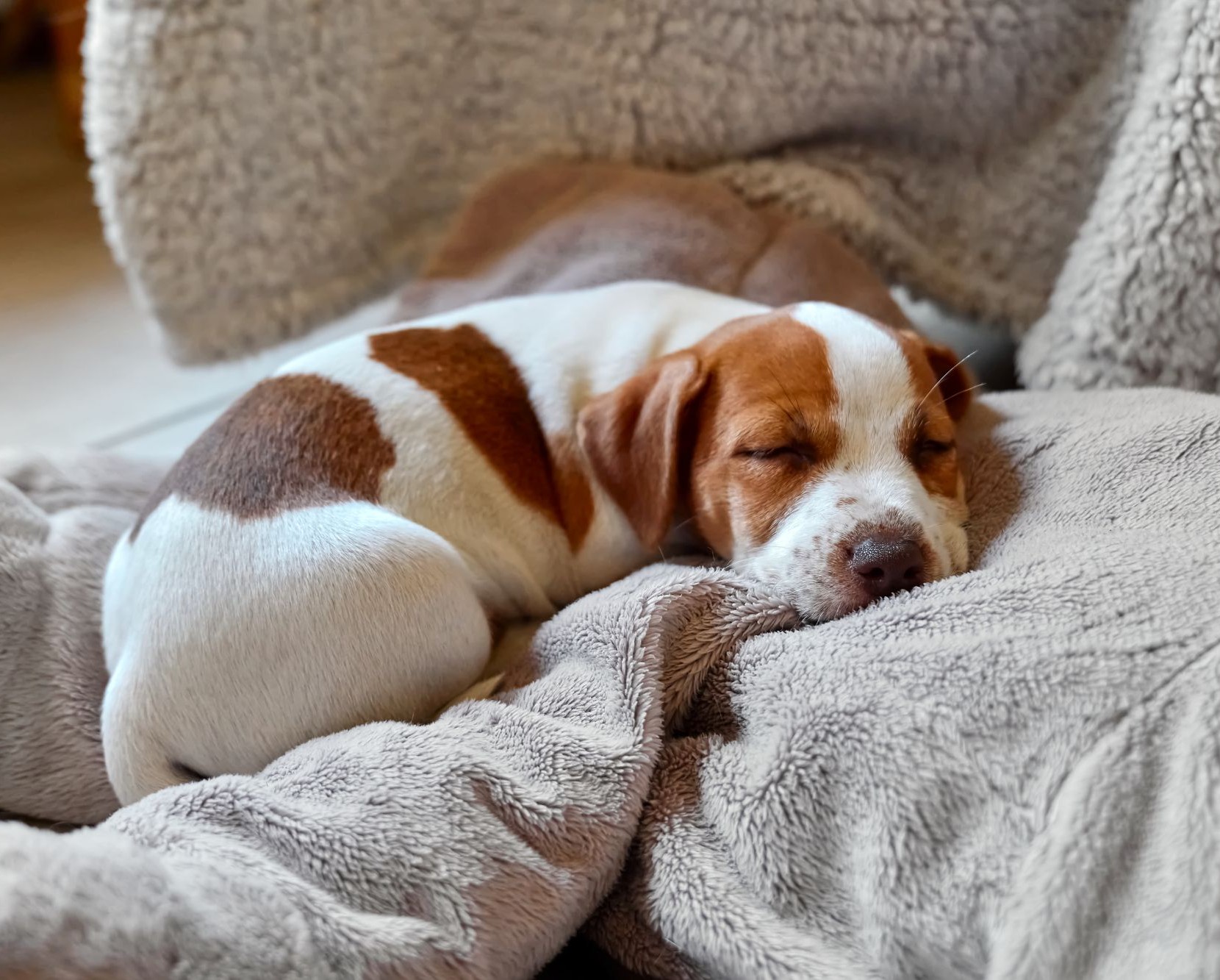 Warme Stube, trockene Nase: Heizungsperiode