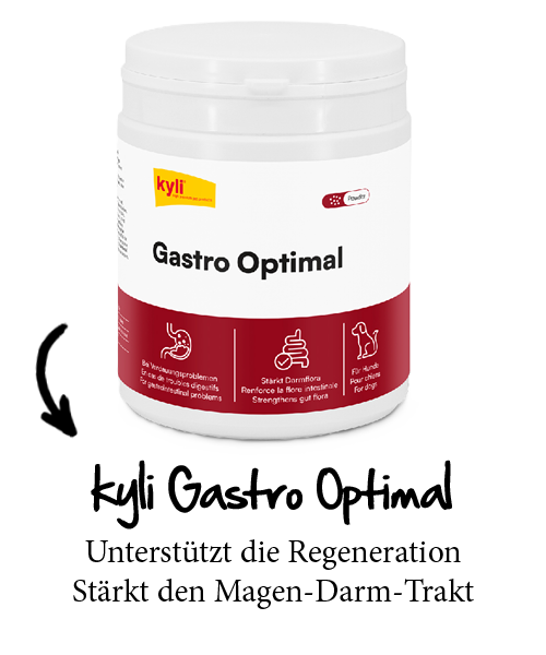 kyli Gastro Optimal