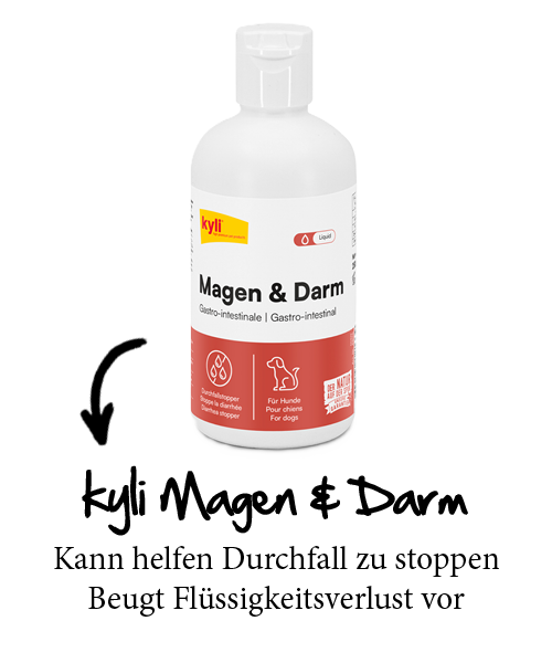 kyli Magen & Darm