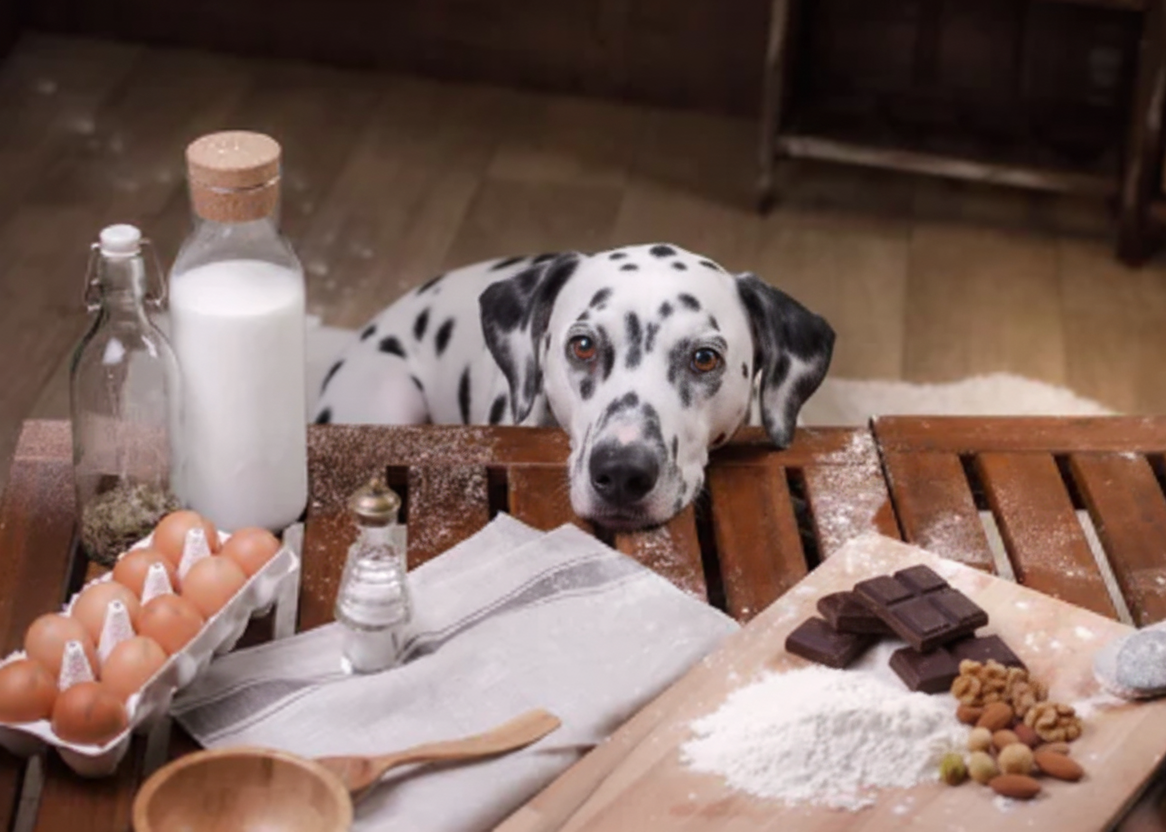 Vorsicht bei Festtagsleckereien!