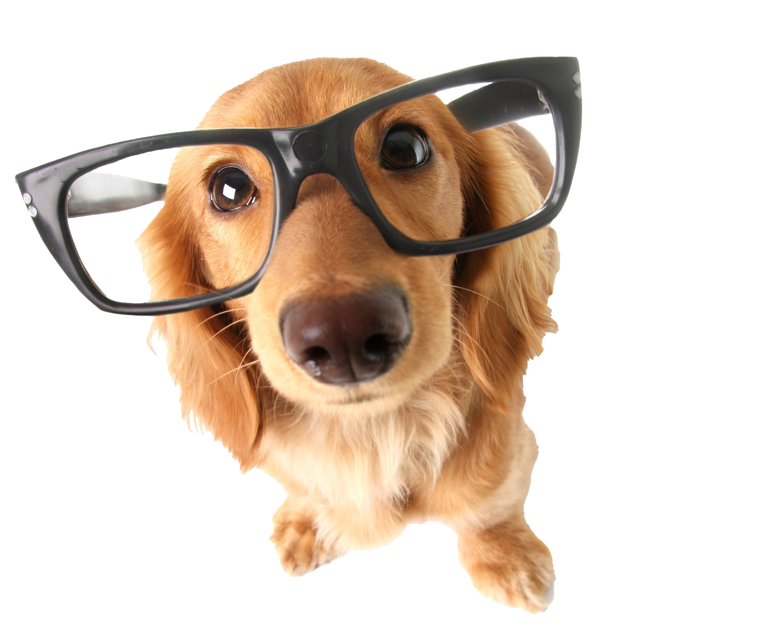 Nahrungserg&auml;nzungsmittel