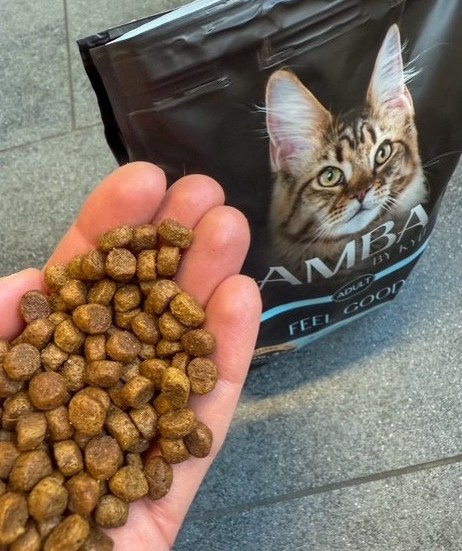 kyli Trockenfutter Katze Amba